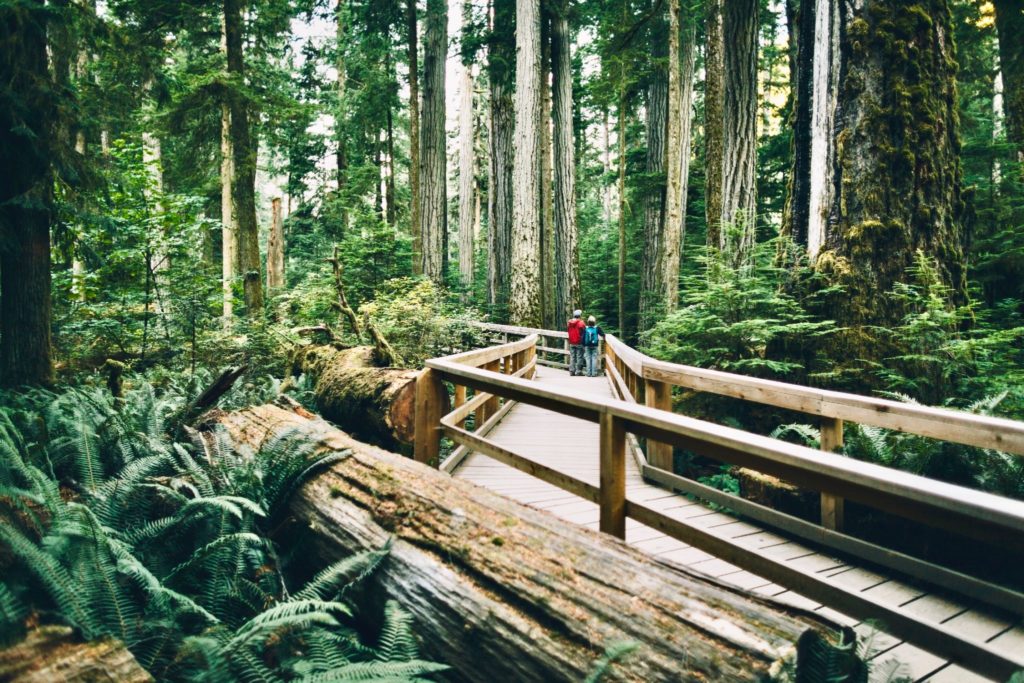 Vancouver Island Honeymoon: Ultimate Romantic Escape! 4 Vancouver Island Honeymoon: Ultimate Romantic Escape!